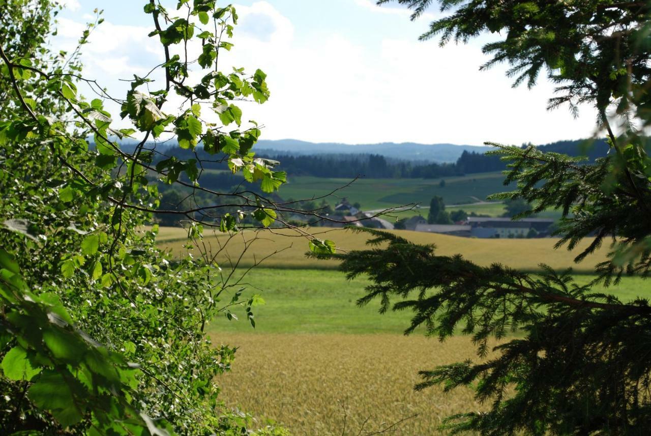 Appartamento Bauernhof Familie Tauber-Scheidl Grossmeinharts Esterno foto